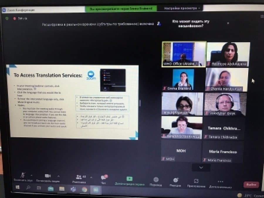The head of the department of the Institute of Economics took part in the WHO webinar